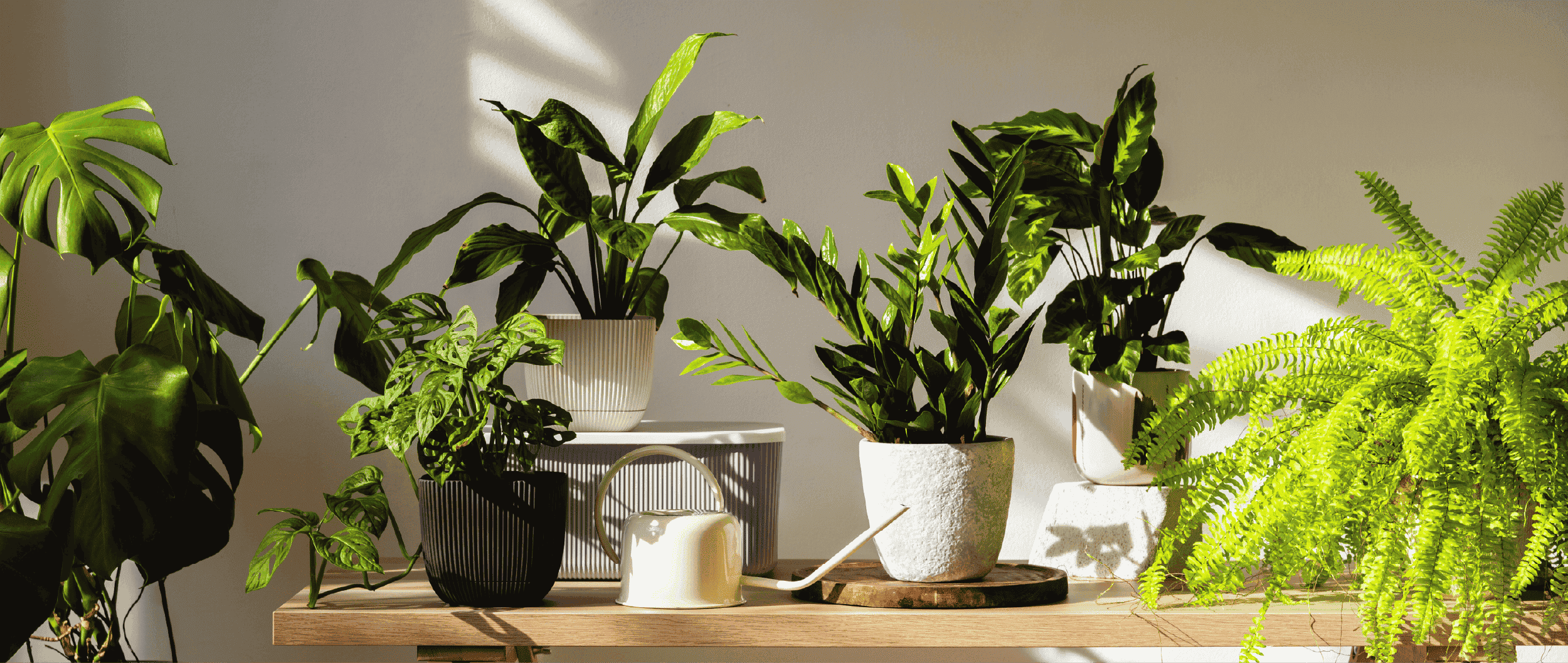 DL Lim Garden | About Us