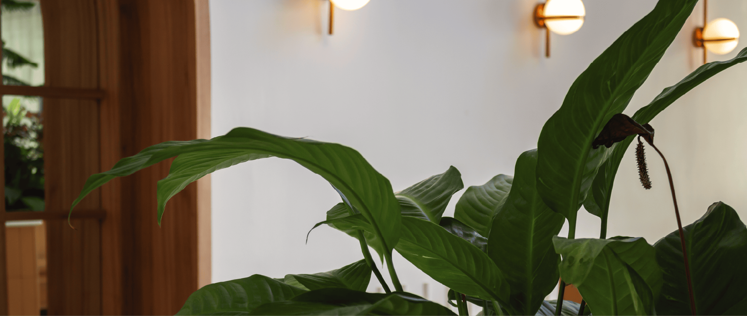 DL Lim Garden | Contact Us