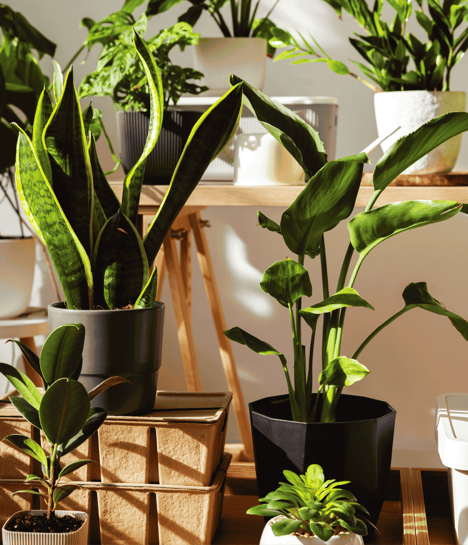 DL Lim Garden | Vision and Mission